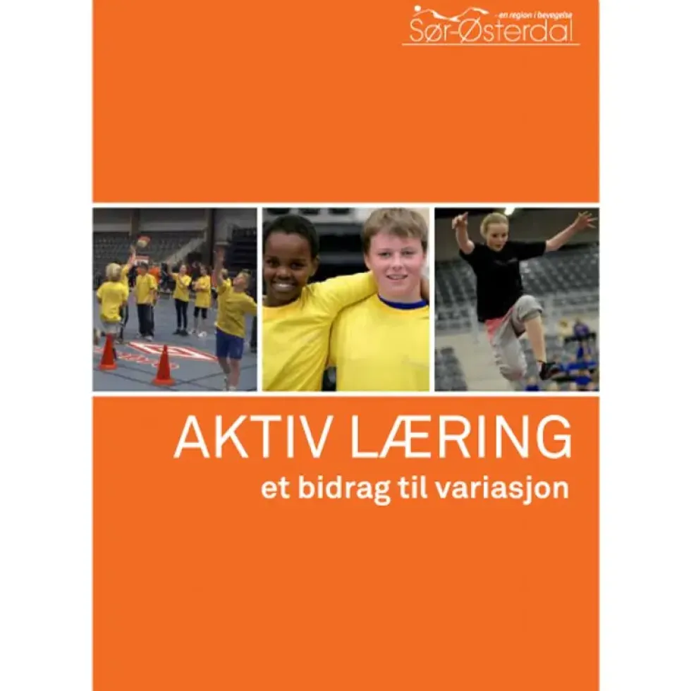AKTIV LÆRING - et bidrag til variasjon
