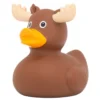Badeand Elg