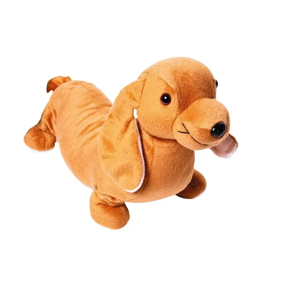 Bamse - Hund med vekt 2,3 kg