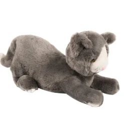 Bamse - Katt med vekt 1,9 kg