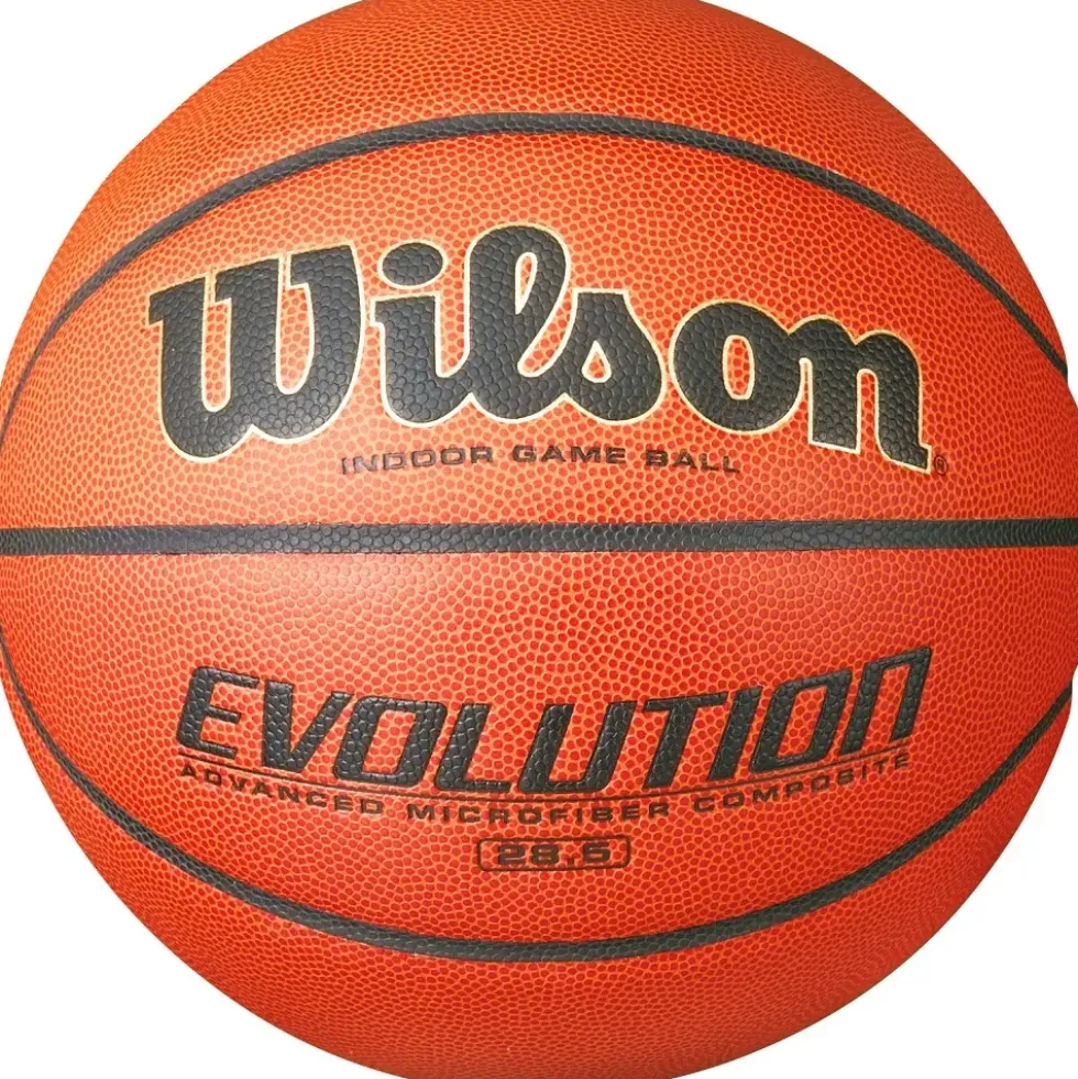 Basketball Wilson Evolution 6