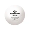 Bordtennisballer Schildkröt Champion