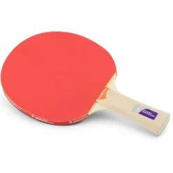 Bordtennisracket Klubben Guard Pro P40+