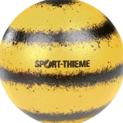 Dodgeball Softball Volley