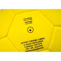 Fotball Sport-Thieme Softair 4