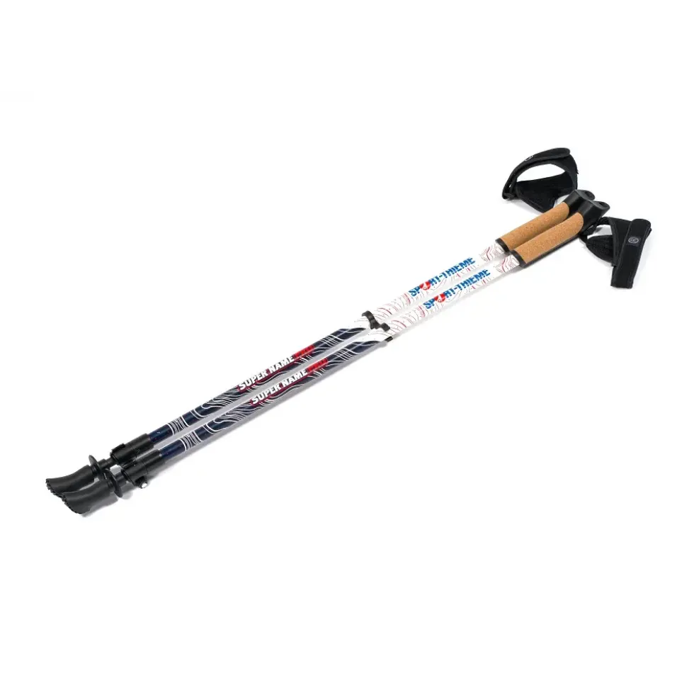 Gåstaver Sport-Thieme Lock Up Pro