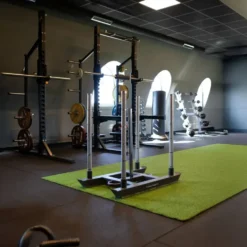 Gymleco Functional Sled
