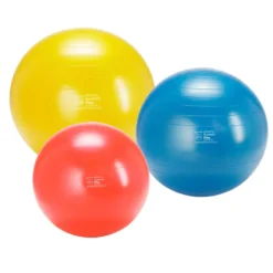 Gymnic Plus Rød 55 cm