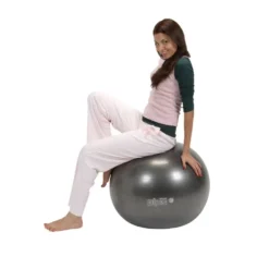 Gymnic Plus Svart 65 cm