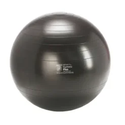 Gymnic Plus Svart 65 cm