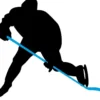 Ishockeykølle Nijdam® Senior L