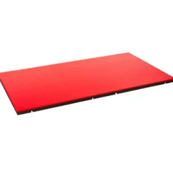 Kampsportmatte 200x100x5 cm I-TIS
