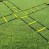 Koordinasjonsstige Agilitystige 2 m