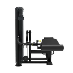 Leg Curl Impulse IT9521