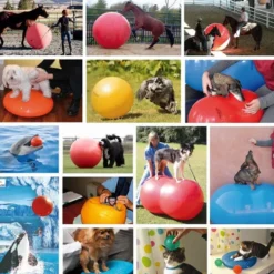 Physio Roll - Peanutball 40x65 cm