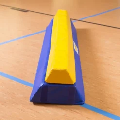 Reivo Rinogym balansebom i skum