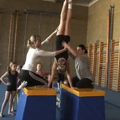 Reivo Rinogym øvelsesskranke
