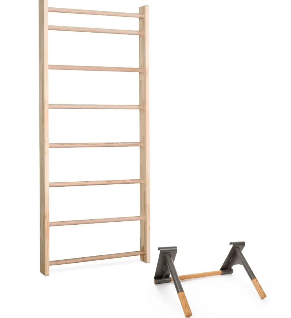Ribbevegg med pull-up dip bar