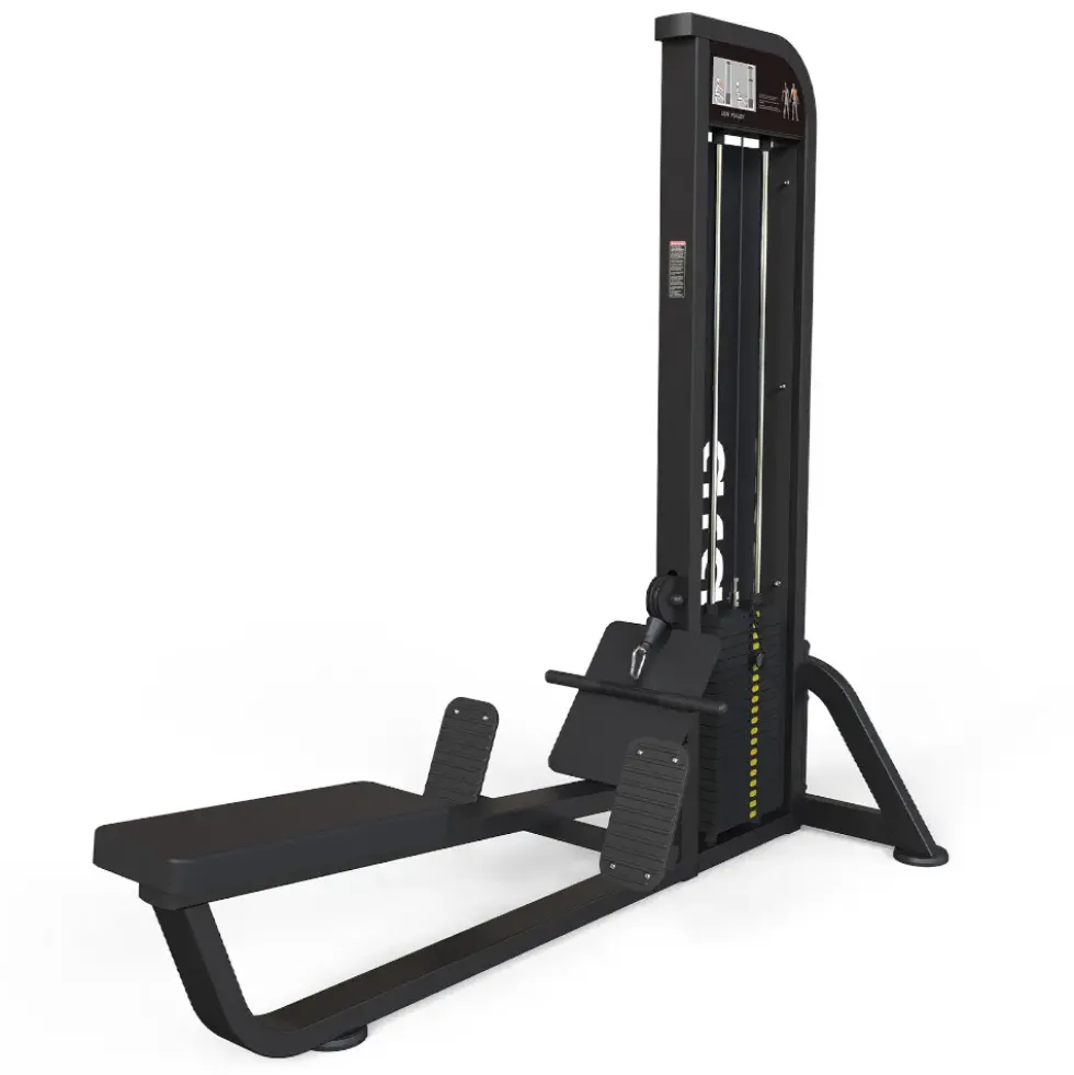 Romaskin Seated Low Pulley ata
