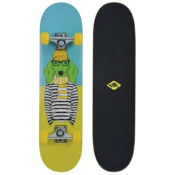 Schildkröt Skateboard Kicker 31
