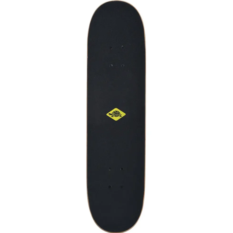 Schildkröt Skateboard Kicker 31
