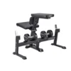 Seal Row Benk Gymleco