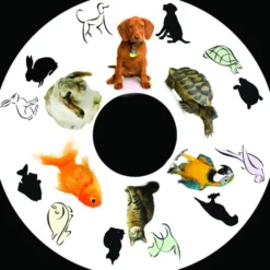 SNAP effekthjul pets