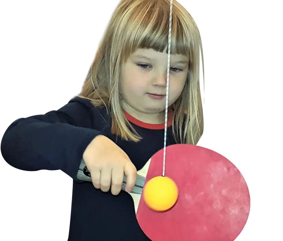Swing Ping Pong