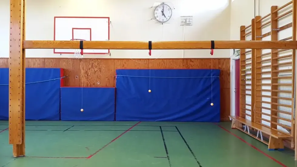 Swing Ping Pong