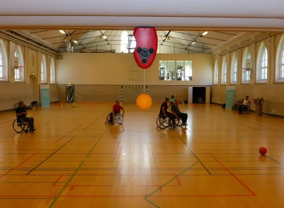 Swing Ping Pong