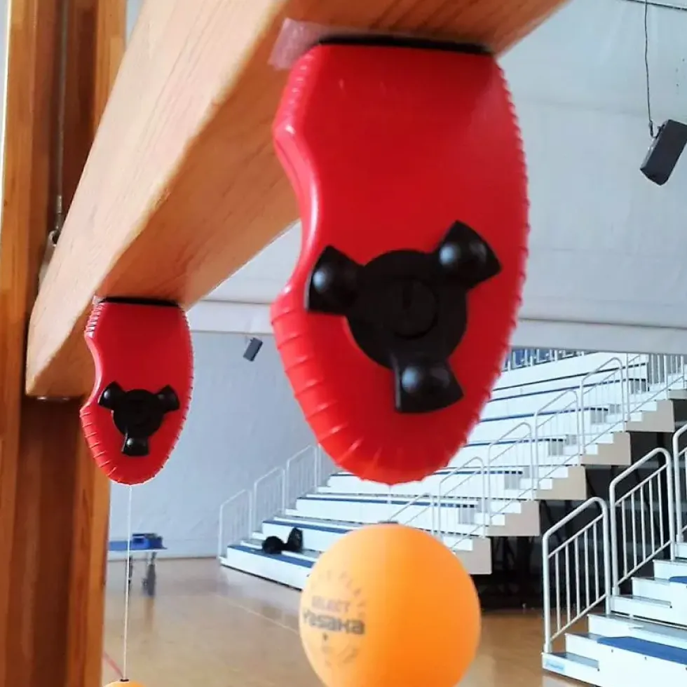 Swing Ping Pong