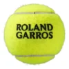 Tennisballer Wilson Roland Garros Clay