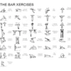 The BarX Family - lite treningsstativ