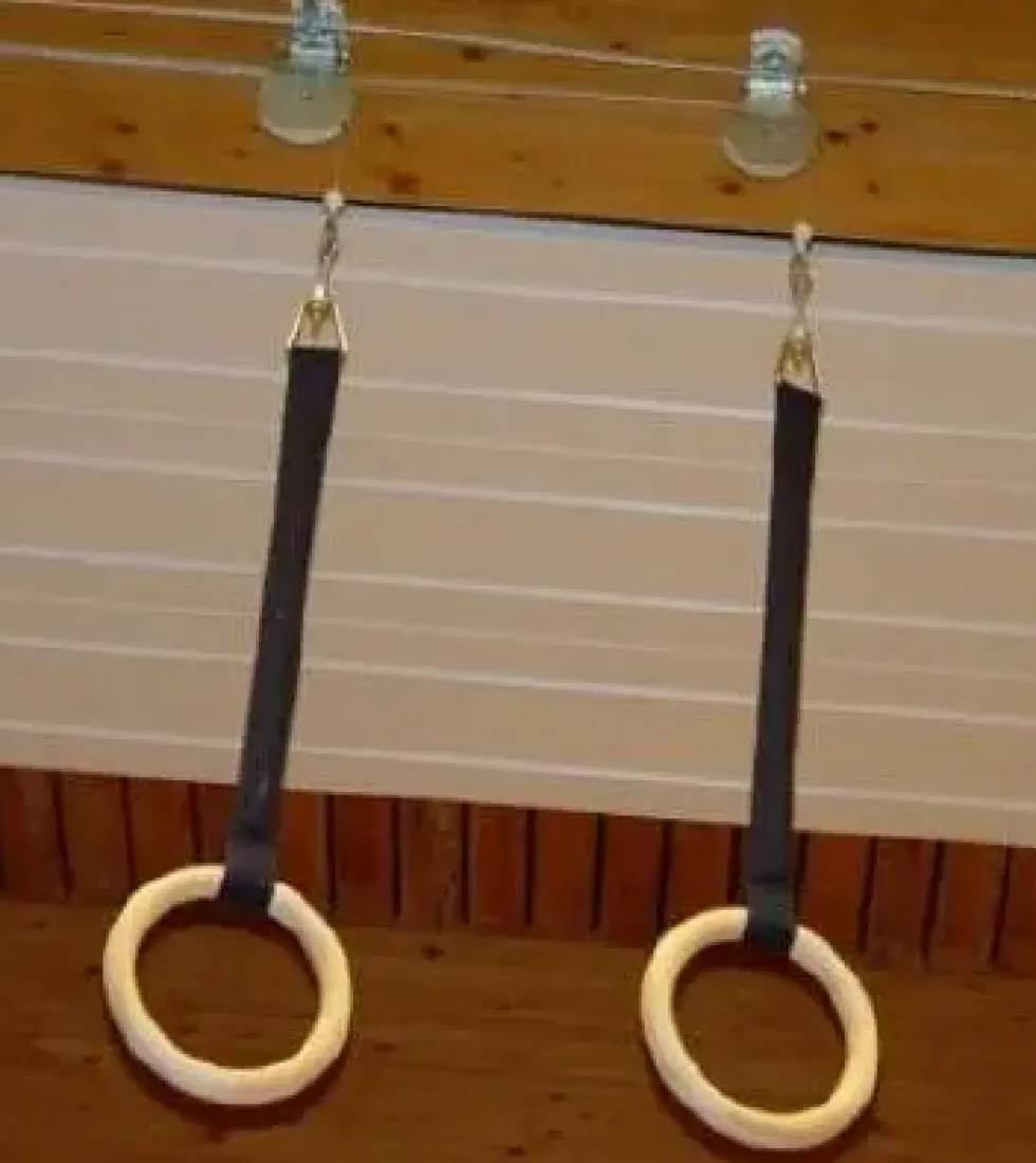 Turnringer takhengt og heisbare
