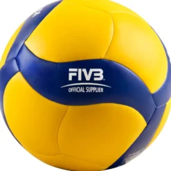Volleyball Mikasa V360W