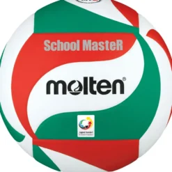 Volleyball Molten School Master