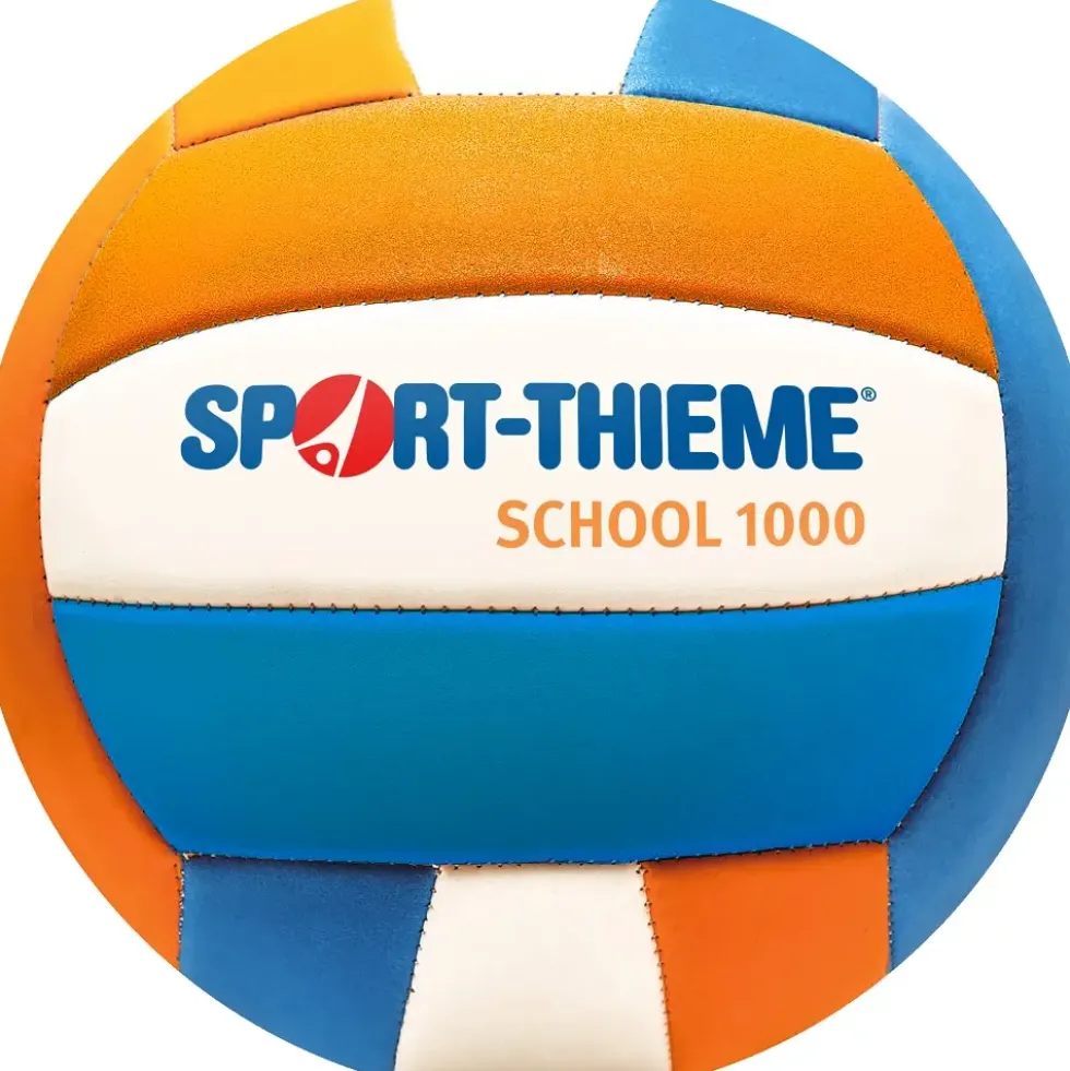 Volleyball School 1000