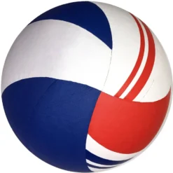 Volleyball Sport-Thieme Gold Cup Pro