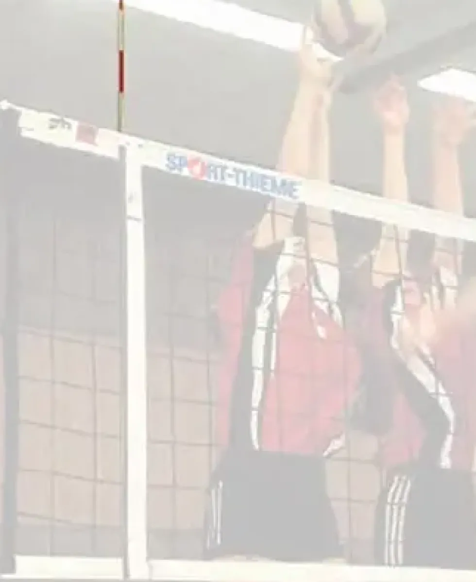 Volleyballantenne med lomme
