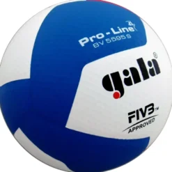 Volleyball Gala Pro Line BV5595S