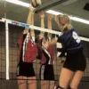 Volleyballnett DVV