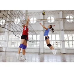 Volleyballnett DVV
