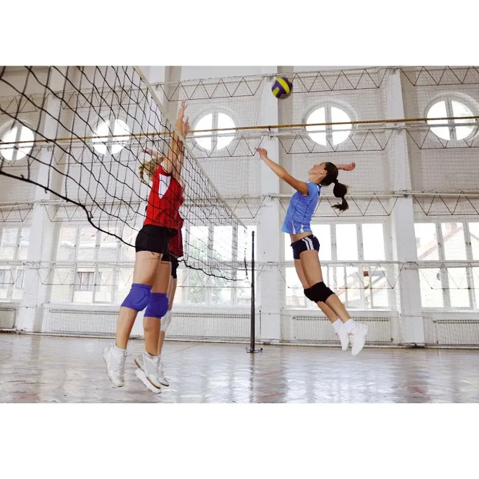 Volleyballnett DVV